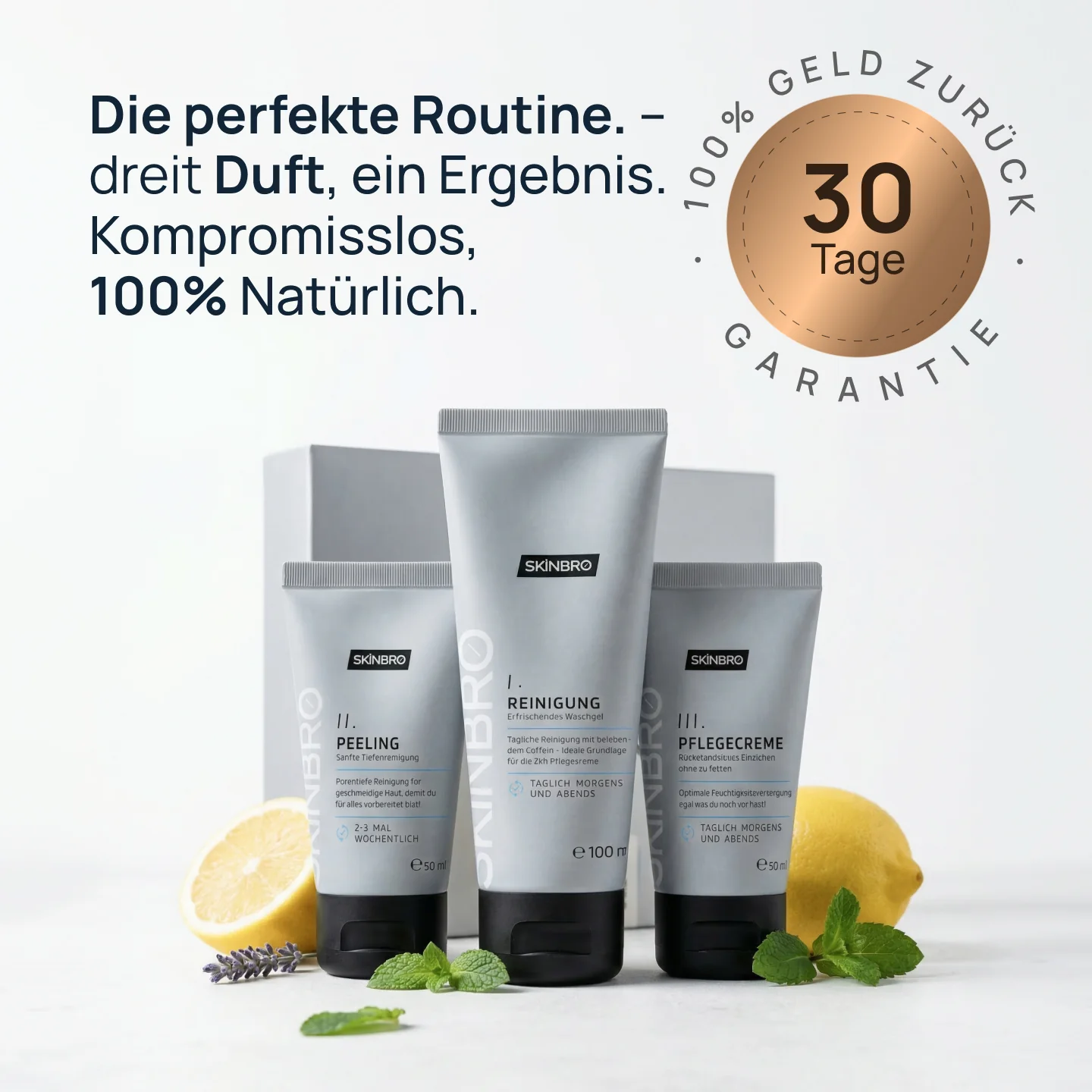 Vorschaubild 7